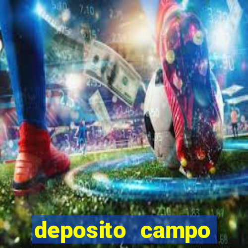 deposito campo grande santos